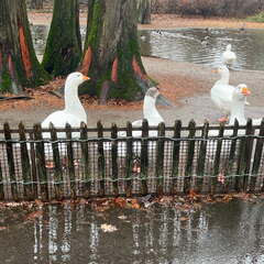 24-12-06 12-01-49 1624